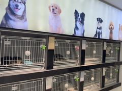 -翊宠yipet猫狗购宠庄园