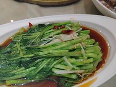 -即墨印象