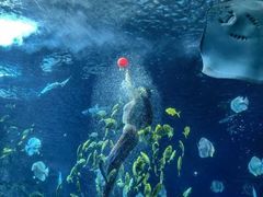 -太平洋海底世界