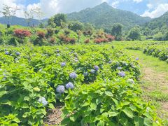 -昆嵛山石门里景区
