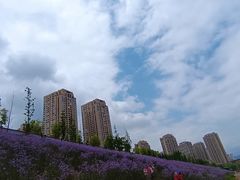 -石井坡(地铁站)