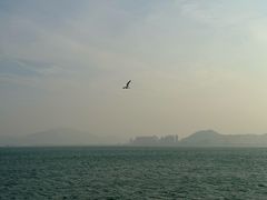 -演武大桥观景平台