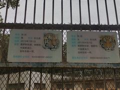 -昆明动物园