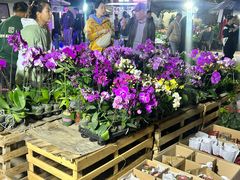 -中环花鸟鱼虫市场