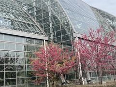 -南山植物园