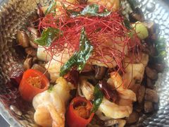 -Hi City·城市之巅