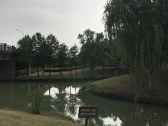 -尚贤河湿地
