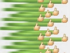 -ZING鲸鱼啤酒(葡萄院店)