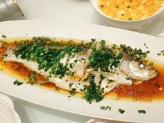 -湖锦酒楼(八一路店)
