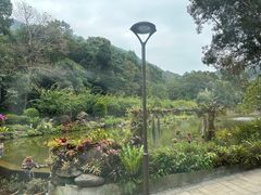 -深圳仙湖植物园