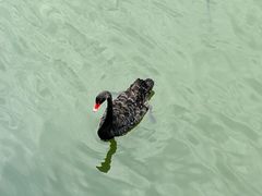 -苏州东太湖生态园