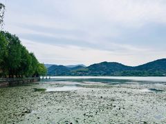 -鸣鹤古镇
