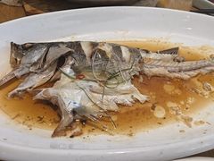 -去茶去餐厅(中央大街店)