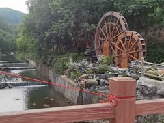 -广州白江湖森林公园