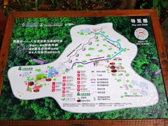 -野象谷景区