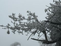 -南岳衡山风景名胜区-南岳大庙