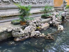 -普陀山风景名胜区-法雨禅寺