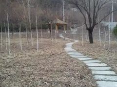 -北京雁栖湖国际会展中心