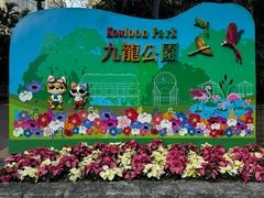 -九龙公园