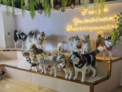 -Husky Go! 哈士奇体验馆·宠物咖啡厅狗咖