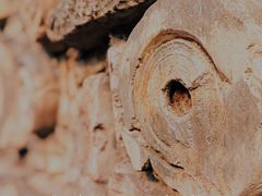 -广富林郊野公园