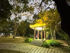 -金山植物公园