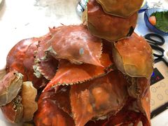 -半岛听涛蒸汽海鲜自助(K11店)