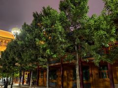 -西宁市东关清真大寺