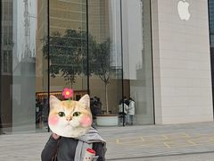 -Apple零售店(苏州店)