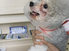 -爱诺耐芙动物医院(万博店)