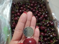 -南京众彩农副产品配送有限公司