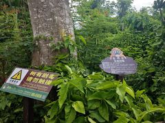 -海南热带野生动植物园