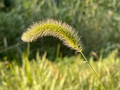 -朝阳公园
