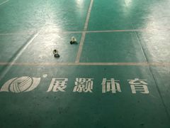 -东丽温泉羽毛球