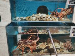 -福娣·金沙银贝海鲜火锅