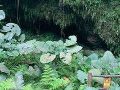 -海口火山口国家地质公园