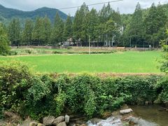 -东天目山风景区