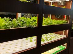 -Bistro181 (大渔湾店)