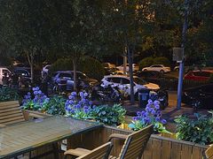 -丹江渔村(望京店)