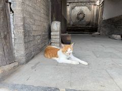 -鸡鸣驿城