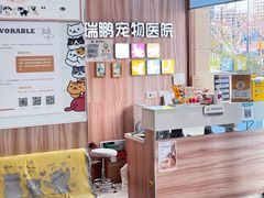 -瑞鹏宠物医院·内科·中兽医·骨科(苗圃店)