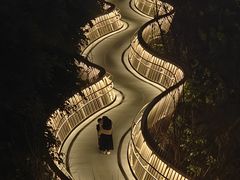 -福道