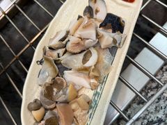 -震海贝烤贝·民俗特色店(延吉总店)