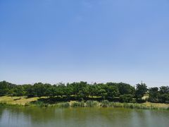 -尚贤河湿地