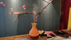 -琦品高端美容SPA会所