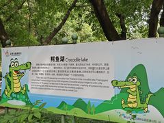 -三水森林公园