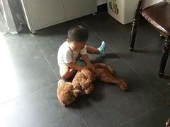 -宠物之家Pets Home 宠物寄养酒店