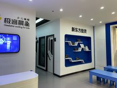 -极客晨星少儿编程