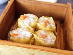 -韩上楼