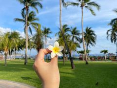 -三亚亚龙湾天域度假酒店